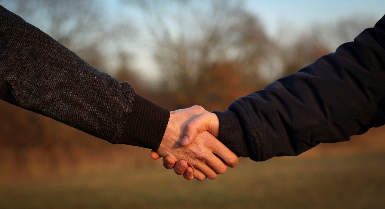 handshake, hands, friendship-4002834.jpg